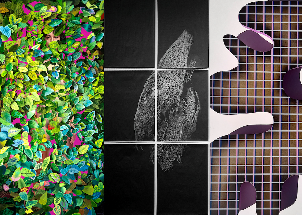 Left to right: Dorielle Caimi, Unfruitful; Stefan Jennings Battista, detail of Succulent Lungs; Veronica Primerano, detail of The Vibes #3.