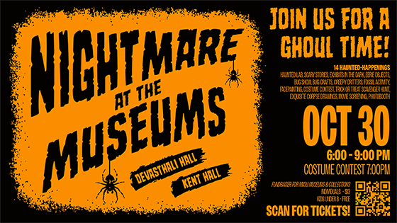 Nightmare at the Museum