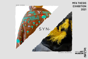 Newsletter image for Syn